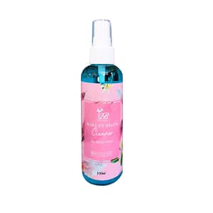 GEBOO BRUSH CLEANER
